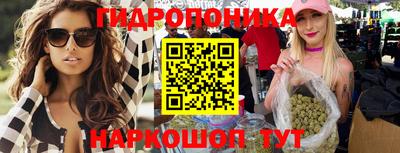 СК Тверь