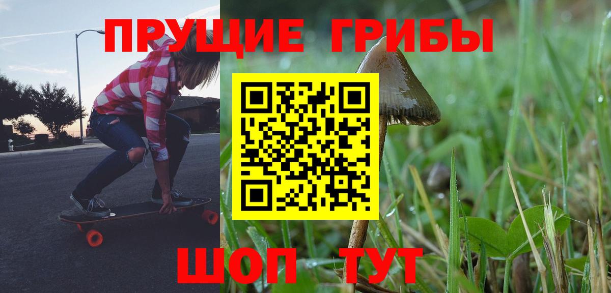 Псилоцибиновые грибы Cubensis  Вход с VPN  Медногорск  Галлюциногенные грибы Psilocybine cubensis 
