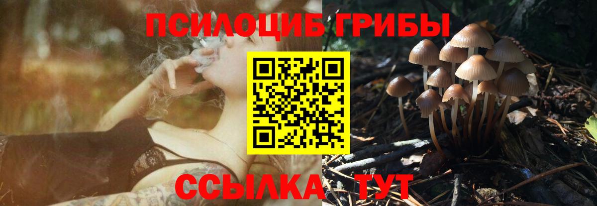 Псилоцибиновые грибы Cubensis Медногорск